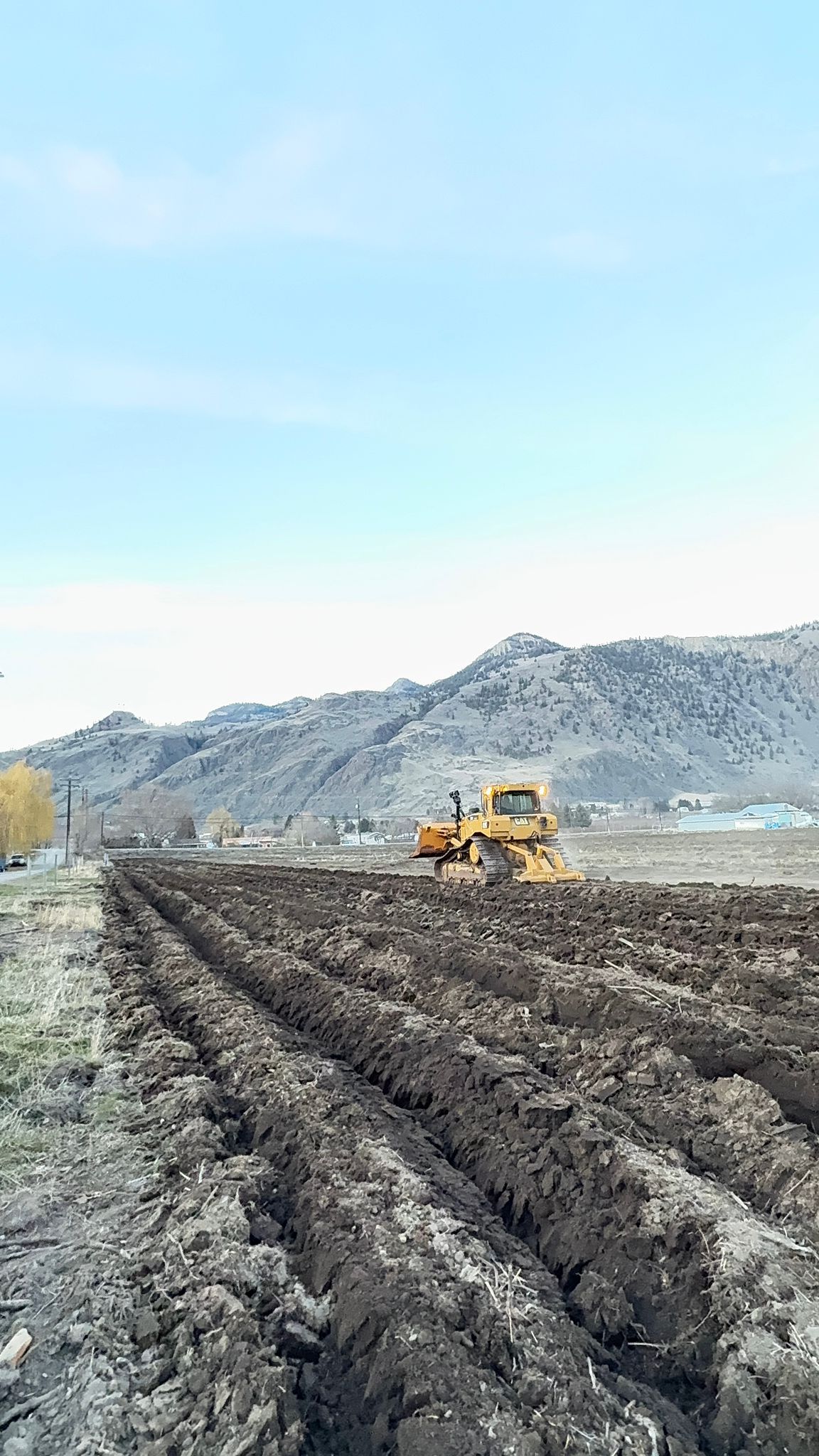Straight rows prepared for vineyard post pounding in South Okanagan